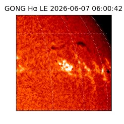 gong - 2026-06-07T06:00:42