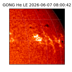 gong - 2026-06-07T08:00:42