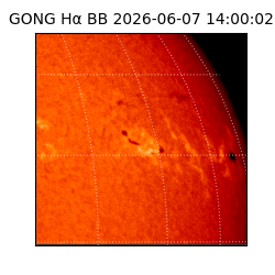 gong - 2026-06-07T14:00:02