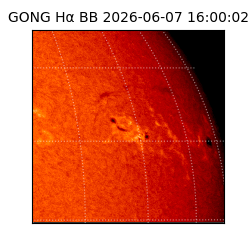 gong - 2026-06-07T16:00:02