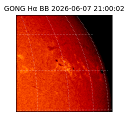 gong - 2026-06-07T21:00:02