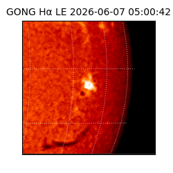 gong - 2026-06-07T05:00:42