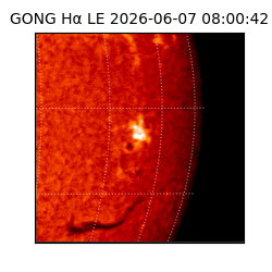 gong - 2026-06-07T08:00:42
