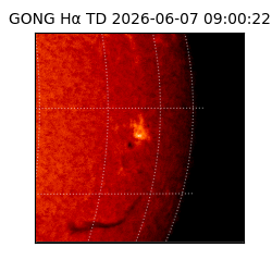gong - 2026-06-07T09:00:22