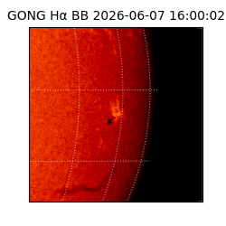 gong - 2026-06-07T16:00:02