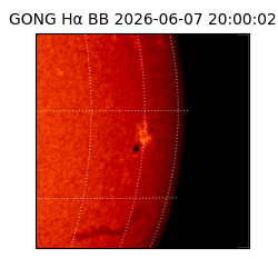 gong - 2026-06-07T20:00:02