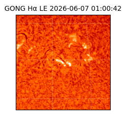 gong - 2026-06-07T01:00:42