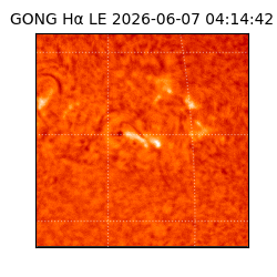 gong - 2026-06-07T04:14:42