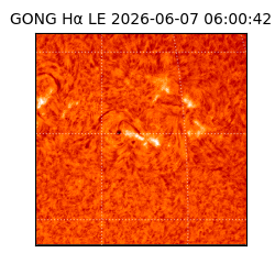 gong - 2026-06-07T06:00:42