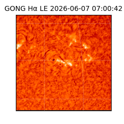 gong - 2026-06-07T07:00:42