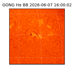gong - 2026-06-07T16:00:02