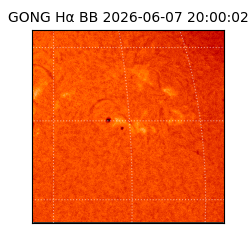 gong - 2026-06-07T20:00:02