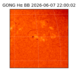 gong - 2026-06-07T22:00:02