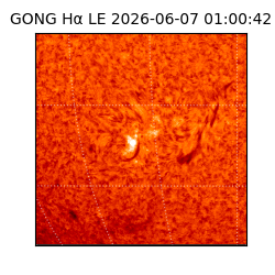 gong - 2026-06-07T01:00:42