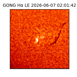 gong - 2026-06-07T02:01:42