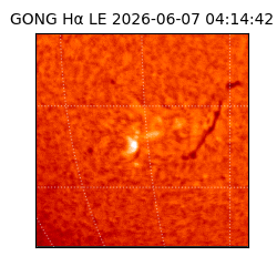 gong - 2026-06-07T04:14:42