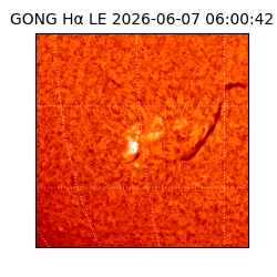gong - 2026-06-07T06:00:42