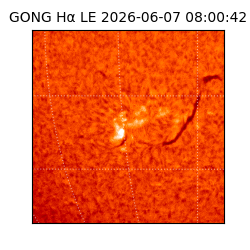 gong - 2026-06-07T08:00:42