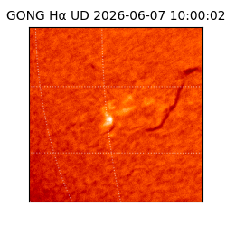 gong - 2026-06-07T10:00:02