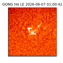gong - 2026-06-07T01:00:42