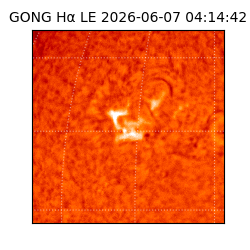 gong - 2026-06-07T04:14:42
