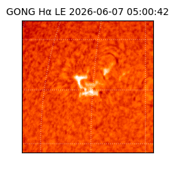 gong - 2026-06-07T05:00:42