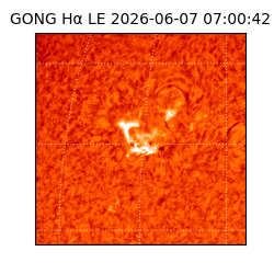 gong - 2026-06-07T07:00:42