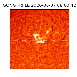 gong - 2026-06-07T08:00:42