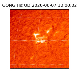gong - 2026-06-07T10:00:02