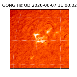 gong - 2026-06-07T11:00:02