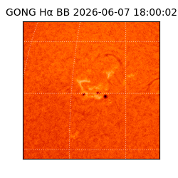 gong - 2026-06-07T18:00:02
