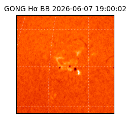 gong - 2026-06-07T19:00:02
