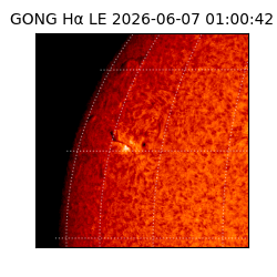 gong - 2026-06-07T01:00:42