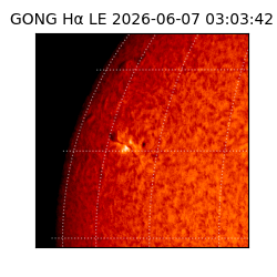 gong - 2026-06-07T03:03:42