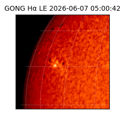 gong - 2026-06-07T05:00:42