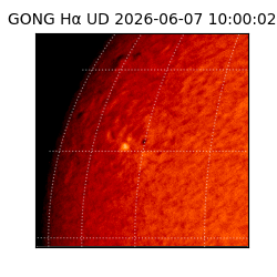 gong - 2026-06-07T10:00:02
