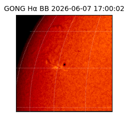 gong - 2026-06-07T17:00:02