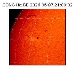 gong - 2026-06-07T21:00:02
