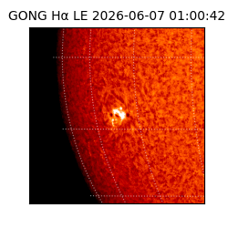 gong - 2026-06-07T01:00:42