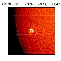 gong - 2026-06-07T03:03:42