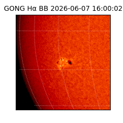 gong - 2026-06-07T16:00:02