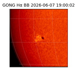 gong - 2026-06-07T19:00:02
