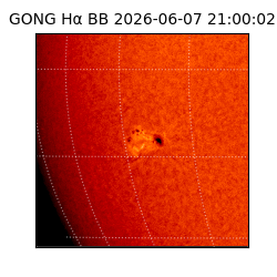 gong - 2026-06-07T21:00:02