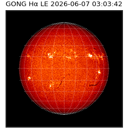 gong - 2026-06-07T03:03:42