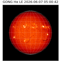 gong - 2026-06-07T05:00:42