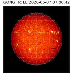 gong - 2026-06-07T07:00:42