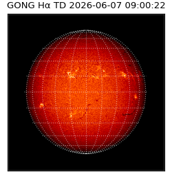 gong - 2026-06-07T09:00:22