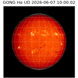 gong - 2026-06-07T10:00:02