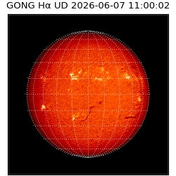 gong - 2026-06-07T11:00:02