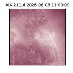 saia - 2026-06-08T11:00:09.624000